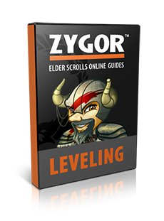Leveling Guides